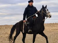 Cal, Kazakh horse — foto 2