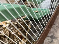 Hamster qəfəsi – tam dəst

15 ədədi qab qaşıg satıram — снимка 2
