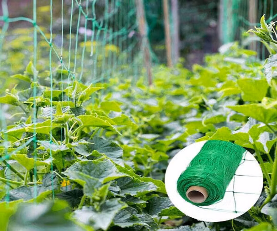 Сетка шпалерная для вьющихся растений.Plasă pentru plante cățărătoare.