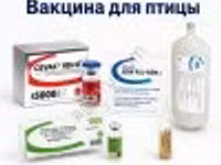 Вакцины для сельскохозяйственной птицы — fotografija 2