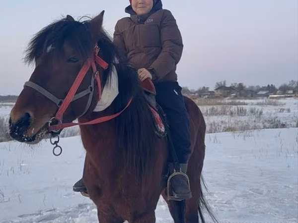 Horse (M), Horses — Kazakhstan