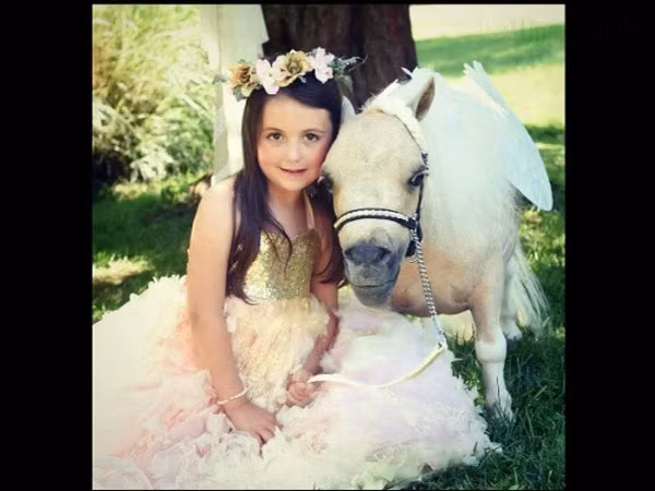 Mare, Miniature horse — United States