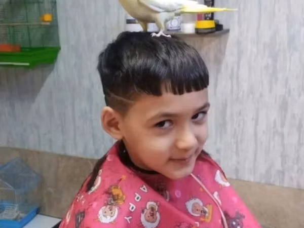 Watsap elaqe Növ: Nimfa (Cockatiel) – lutino rəng mutasiyası Rəng və