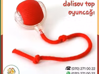 Ağıllı top oyunçağı (pişik və it üçün) Ev heyvanınızı darıxmağa — φωτογραφία 1