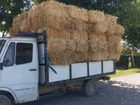 Продаю пшеничная саломы любое количество по 120сом с доставкой - — Foto 2