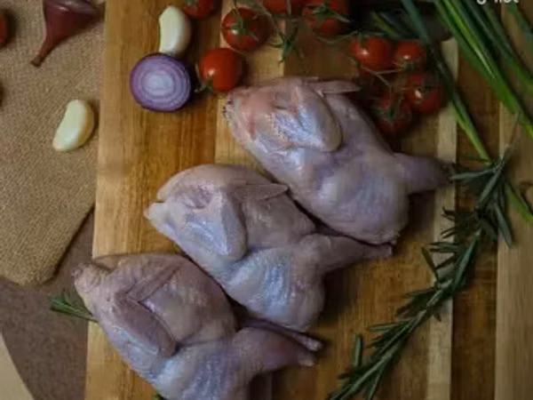 Լորի առողջ և թարմ միս