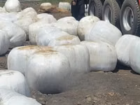Silage Available. — 照片 1