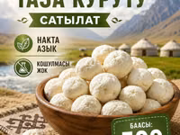 Нарынский курут (сухие шарики из кисломолочного продукта) - — fotografija 2