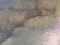 Animal Feed at Nakuru Ngata — 照片 1