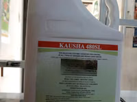 Kausha 480sl Herbicide 5litres — ფოტო 4