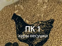 Комбикорм для кур несушек старт — zdjęcie 4