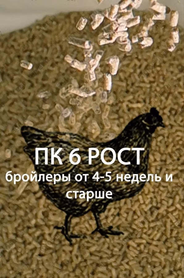 ПК-5 (бройлер 1-4 недели)
