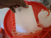 Chick Feeders (Vya Chakula Kwa Ajili Ya Vifaranga) — 照片 1