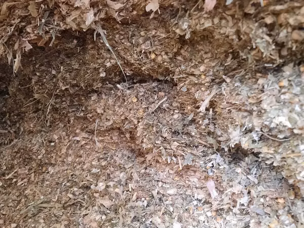 Продаю 20 тонн силос кукурузы (не рулон) по 8 сомов адрес село Толок