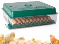 Incubator De Oua Des Champs Eco Profi C-70 - 4f - livrare / credit / agroteh — foto 5