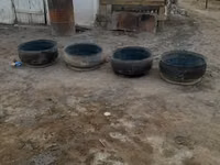 Малга астау, гул егуге де болад — снимка 1