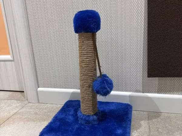Pişik üçün dırmaşma və dırnaq itiləmə dirəyi - Material: möhkəm sisal