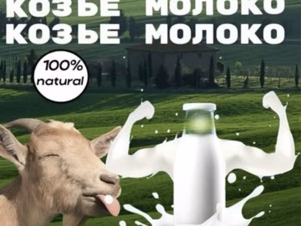 Goat, Goats — Kazakhstan