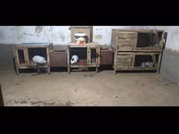 Клетки для кроликов — foto 2