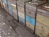 Срочно продам ульи 4 корпусные рамки рута. Вопросы по телефону — foto 2