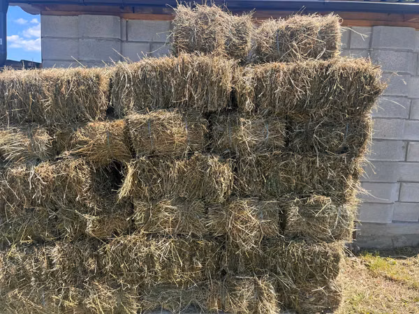 Baloți de lucernă