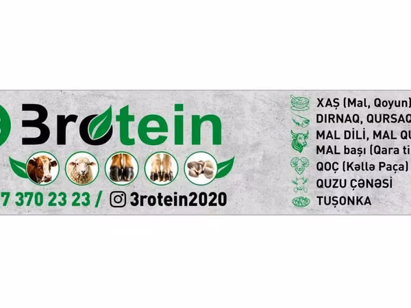 Brotein – ət və subproduktlar üzrə çeşidli təkliflər: - Xaş üçün