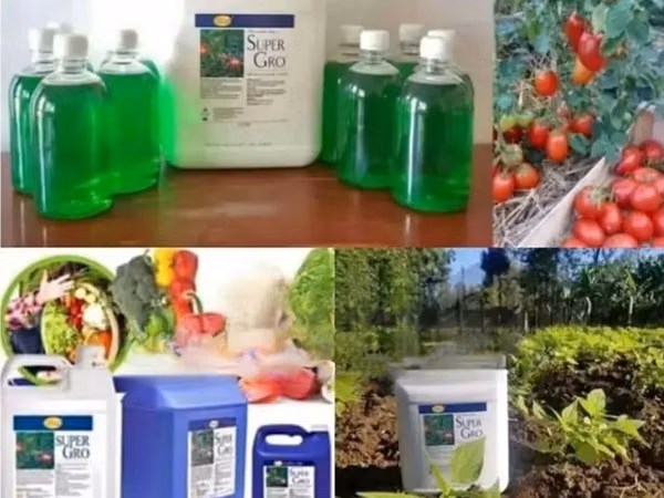 Liquid Fertilizer Super Gro