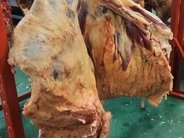 Уй эти тендер тендер для продажи мясо Говяжьи полутуши и четвертины