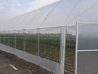 Vindem constructie module de sera solar cu pereti drepti — 照片 2