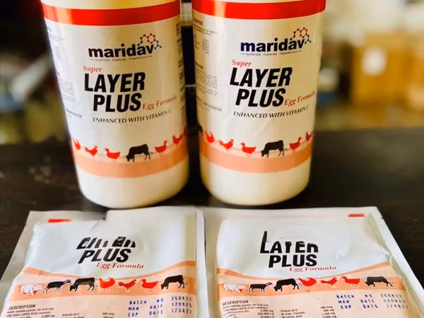 Layer Plus Egg Formula