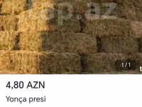 Məhsul: Yonca presi (balya şəklində quru ot/saman) Təsvir: - Heyvan — foto 2