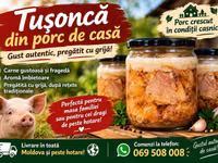 Tusonca de casă — φωτογραφία 1