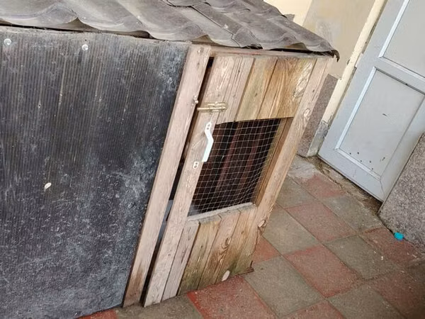 Toyuq/xoruz üçün açıq hava qəfəsi və kiçik toyuq daxması - Material