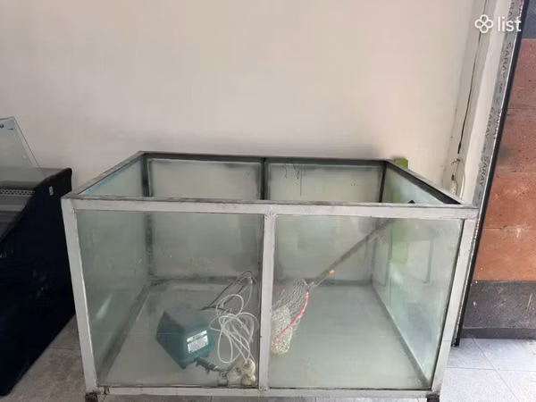 Ակվարիում լավ վիճակում