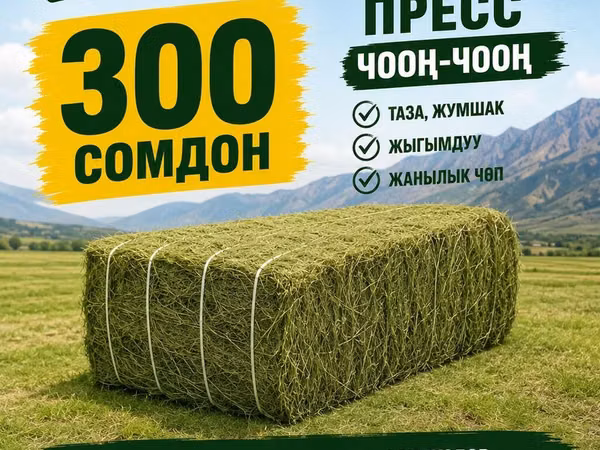 Сено в прессованных тюках - Крупные тюки, плотно спрессованные -
