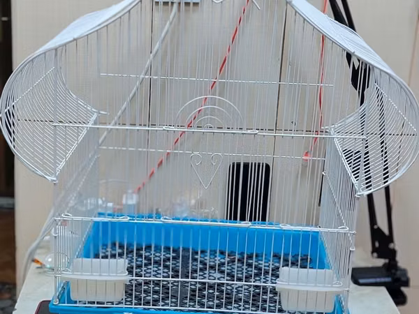 Quş qəfəsi – dekorativ damlı dizayn - Material: Ağ rəngli metal