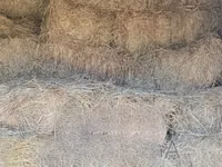 Animal Feed at Nakuru Ngata — 照片 2