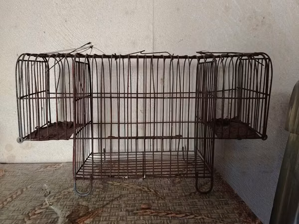 Metall teldən hazırlanmış iki girişli canlı tələ qəfəsi - Material