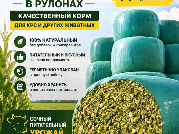 Высококолорийный турецкий сорт торро доставка договорная находимся в