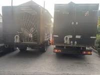 Koç, Koyunlar — foto 3