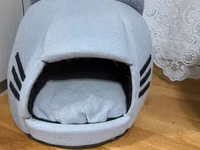 Piwikler ucun domik.az iwlenilib — foto 1