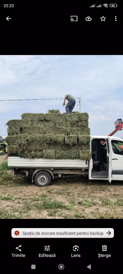 Baloți de lucernă