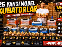 192 Тухумли Инкубатор | Профессионал Ақлли Инкубатор | 220V / 12V — 照片 3