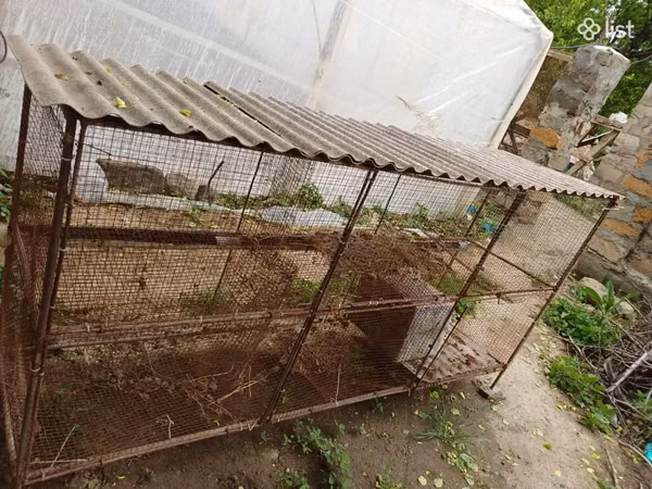 Վանդակ, նապաստակի համար