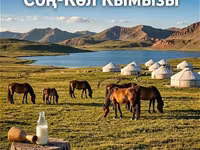 Кымыз, саамал, В розницу, Бесплатная доставка — عکس 2