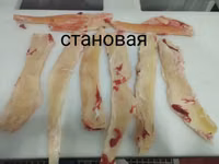 Становая жила — عکس 2