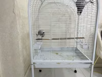 Jako ve boyuk qushlar ucun qefes. Cox az iwlenib. Yeni kimidir. Qiymet — fotografija 1