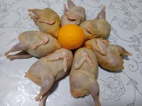Carne de prepeliță — 사진 3