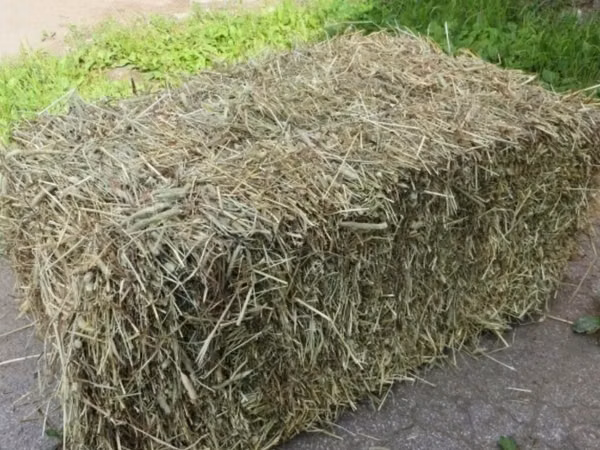 Продаю тюки, 150 штук, большие, разнотравие, с. Кара-Жыгач (совхоз
