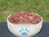 Minced Dog Food — fotografija 1